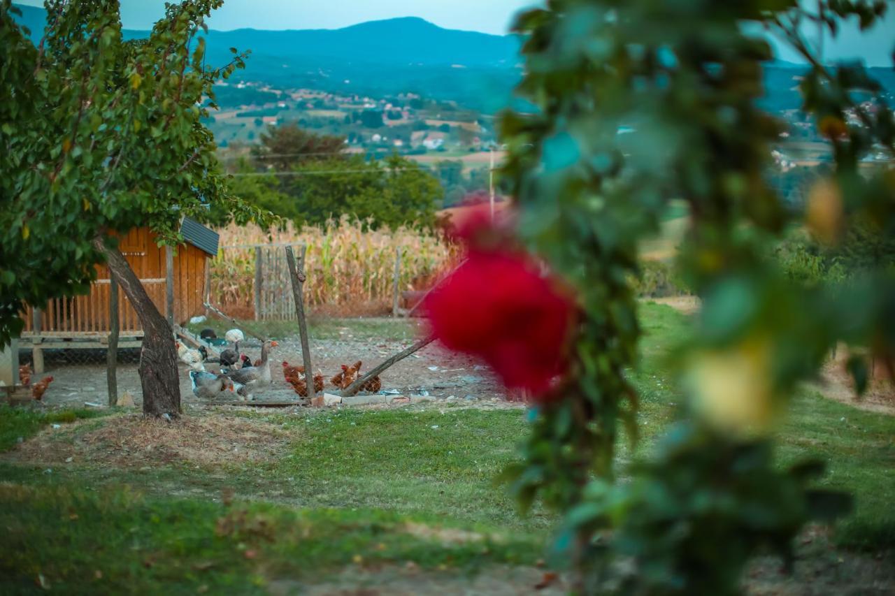 Seosko Turisticko Domacinstvo Radivojevic Villa Čačak Dış mekan fotoğraf